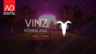 Vinz  Dominicana Official Lyrics Video [upl. by Suoinuj]