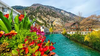 Spring has arrived in Interlaken 🇨🇭 Switzerland 4K [upl. by Akirej]