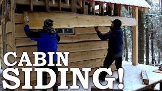 Building Cabin from Scratch with Portable Sawmill  80Year Old Tree into Siding [upl. by Dorsy113]